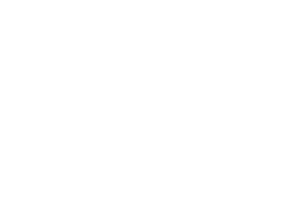 Make a Wish logo